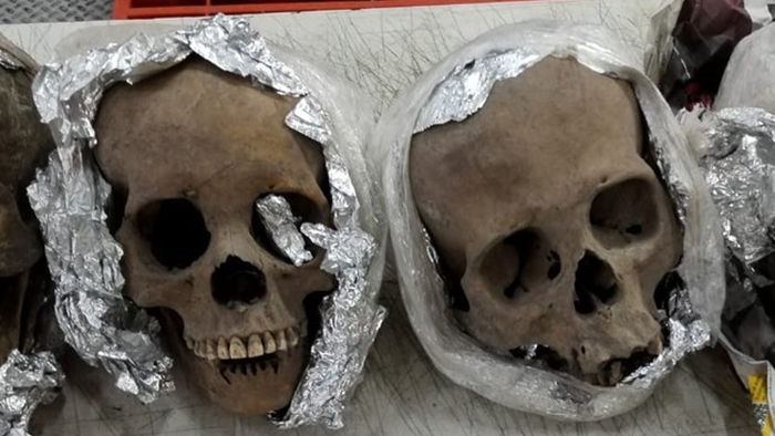 cráneos Michoacán