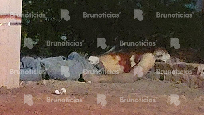 homicidio victima el guayabo