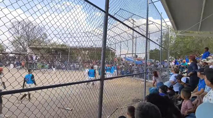La violencia ensombrece el deporte otra vez; pelea en el béisbol en Pénjamo