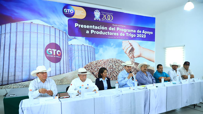 Apoyará Guanajuato a trigueros con nuevo programa; destina $50 MDP