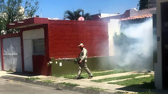 Casos de dengue en Tanhuato, Ixtlán y Vista Hermosa; suman 30