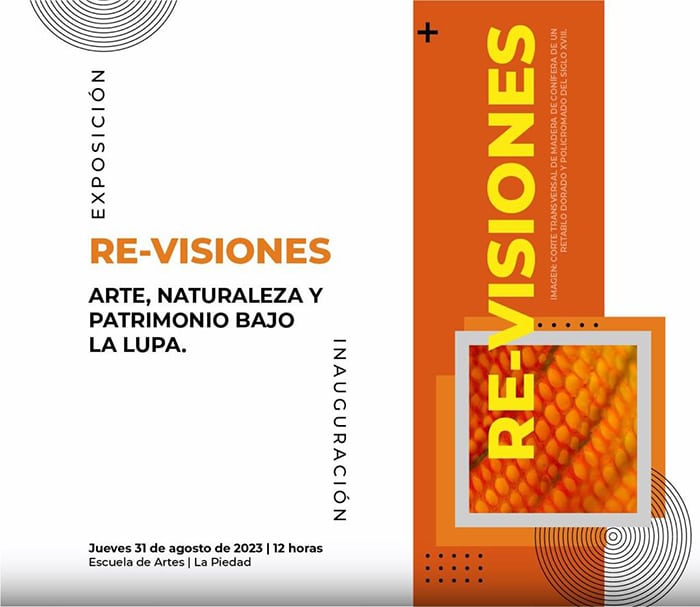 EXPOSICIÓN Re-Visiones