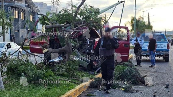 Cuñado de alcalde de Pénjamo choca, derriba árboles y poste con su camioneta