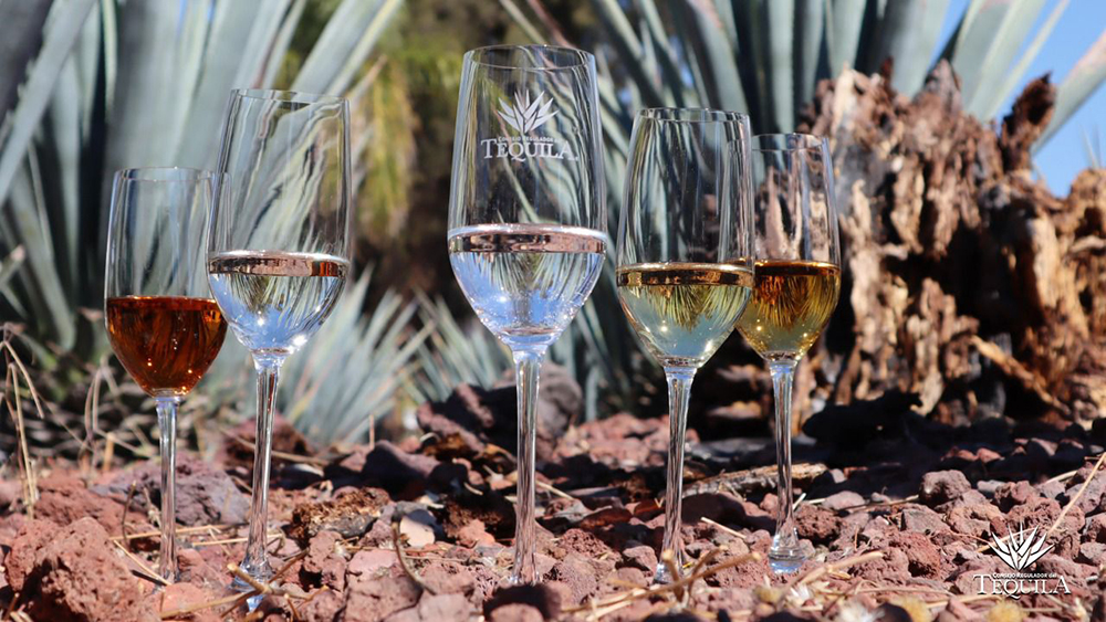 agave tequila Clases-2