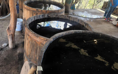El Tuxca, el licor emblemático de “El Llano en Llamas”