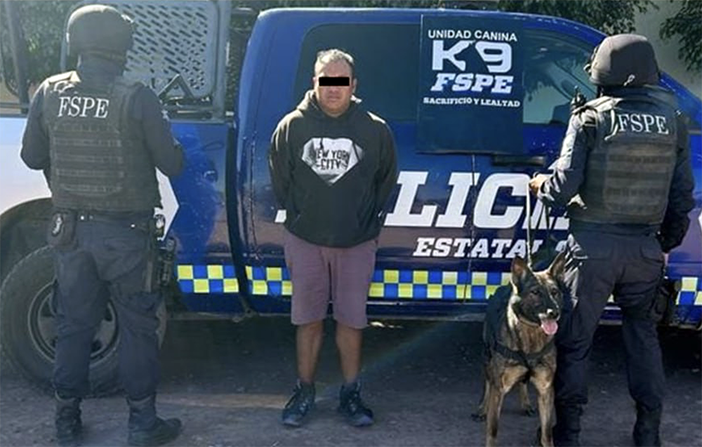La oficial canina “Cessy” localiza a sujeto con droga en Pénjamo