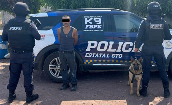 Unidad Canina de las FSPE detiene a sujeto con droga en Pénjamo